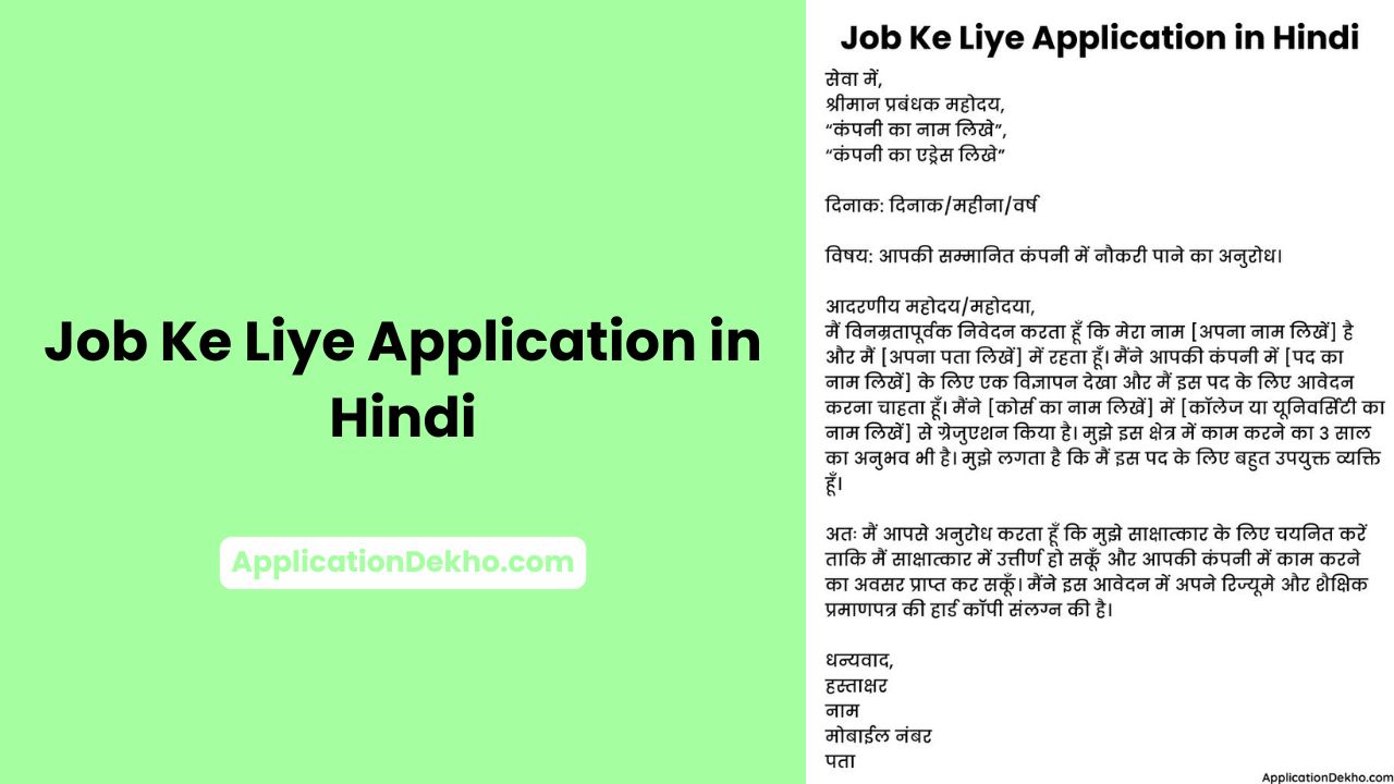 naukri ke liye application
